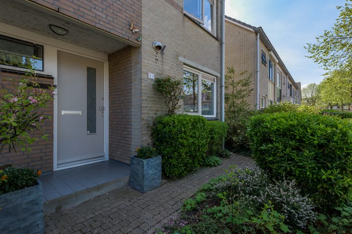 Foto 9 van Paukenstraat 41