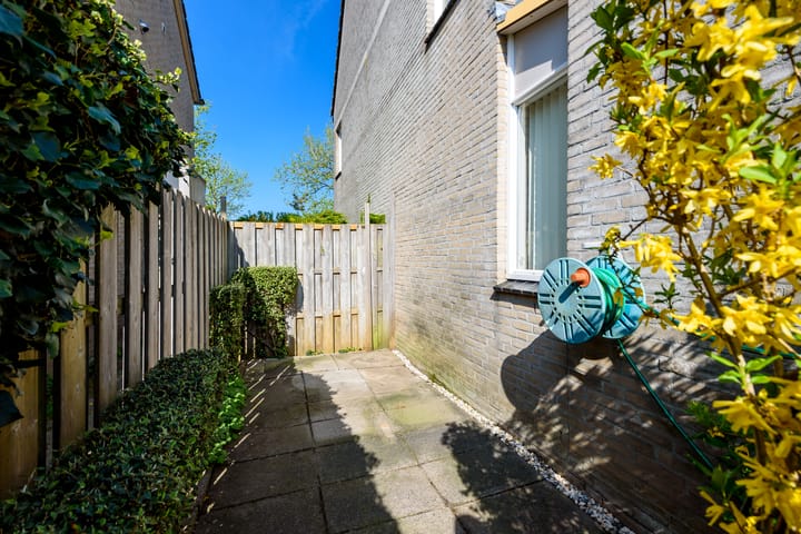 Foto 43 van Paukenstraat 41