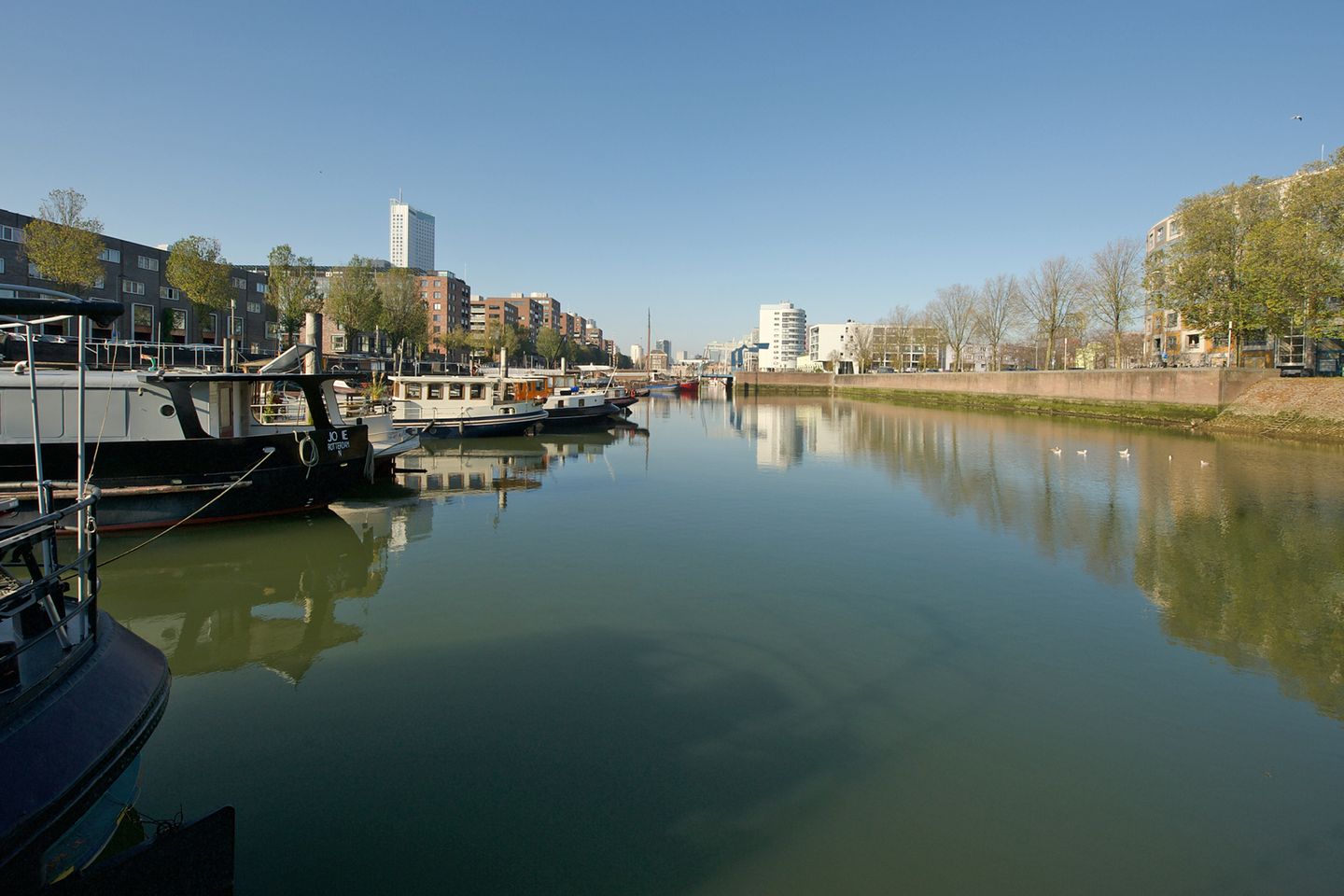 Photo 5 of Rijksboom 90