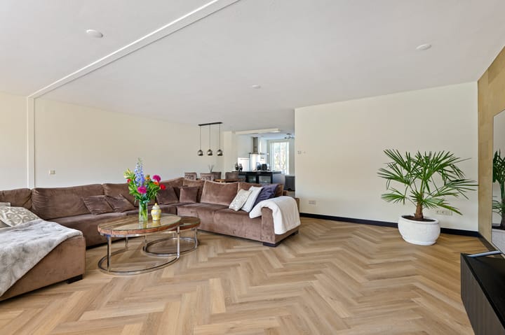 Foto 3 van Goudplaat 25