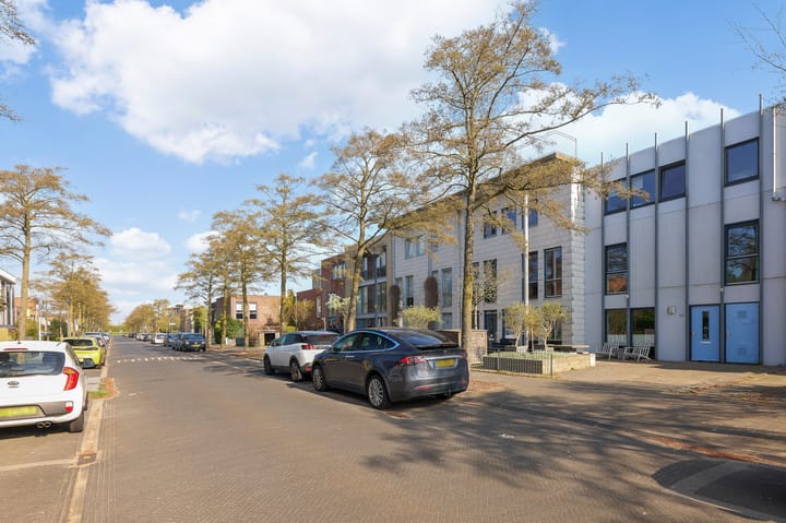 Foto 38 van Goudplaat 25