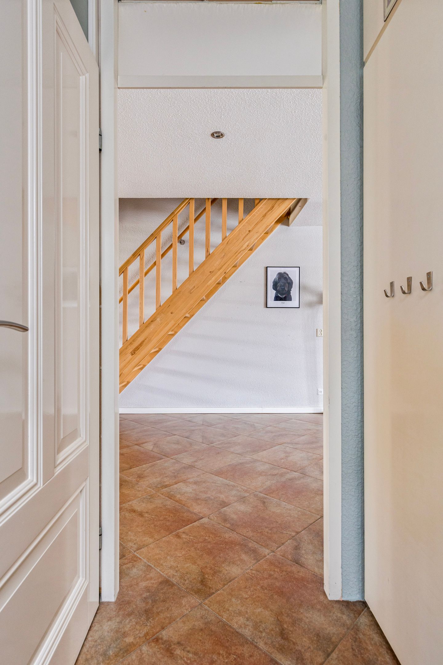 Foto 4 van Platte Molendijk 55