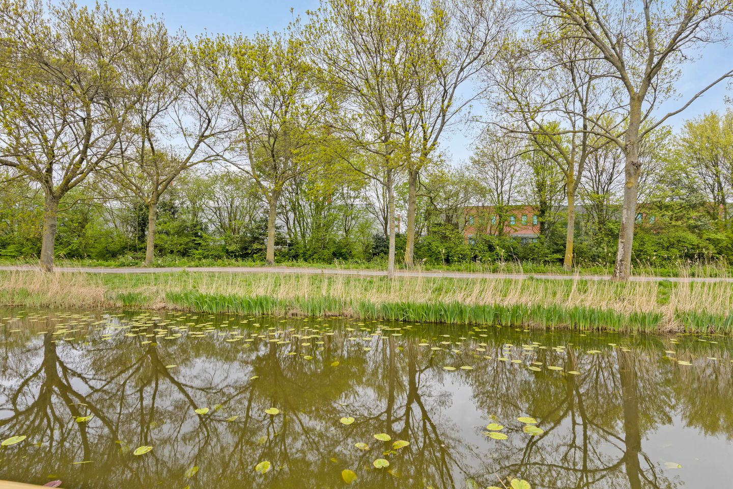 Foto 35 van Platte Molendijk 55