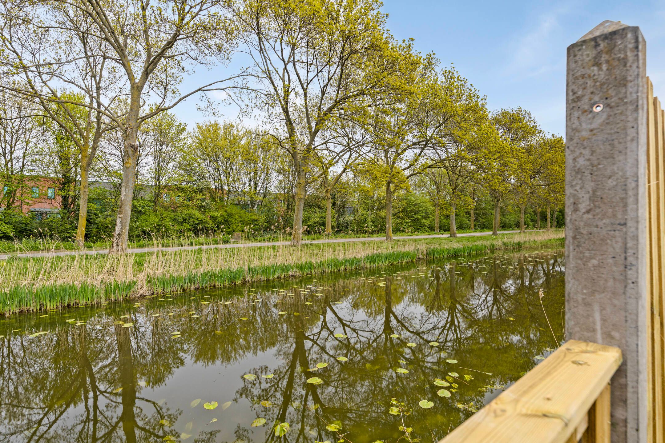 Foto 36 van Platte Molendijk 55