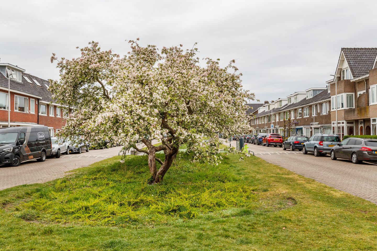 Foto 20 van Julianaweg 224