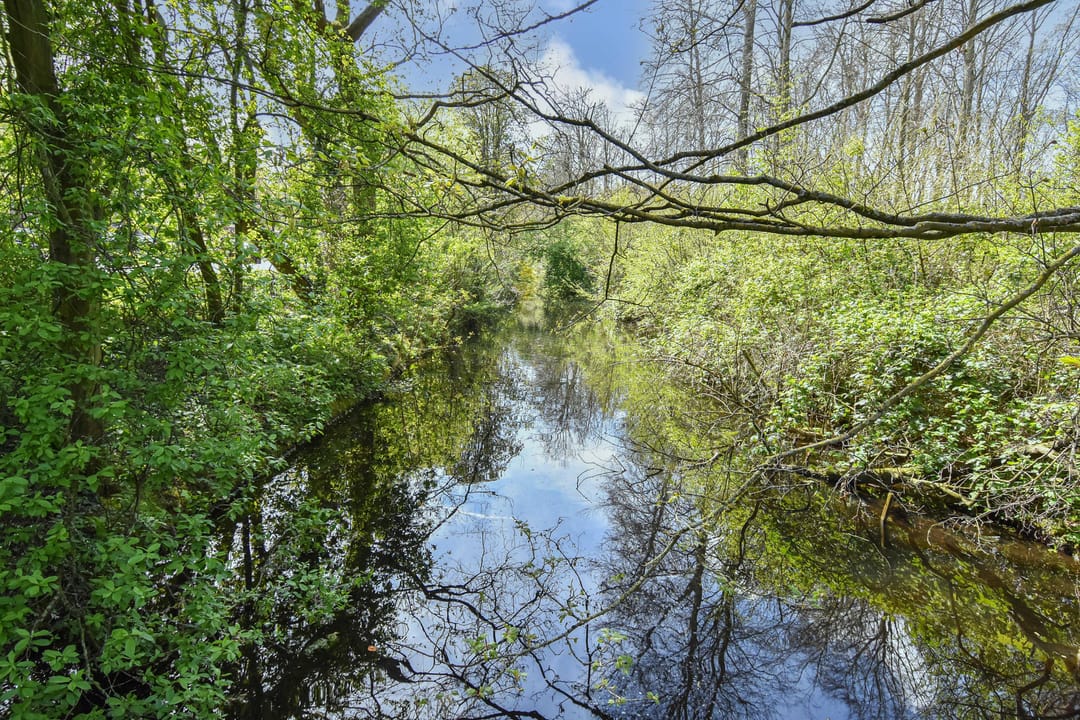 Foto 26 van Bezuidenhoutseweg 349-A