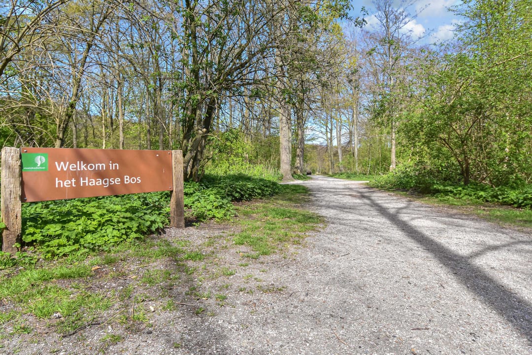 Foto 28 van Bezuidenhoutseweg 349-A