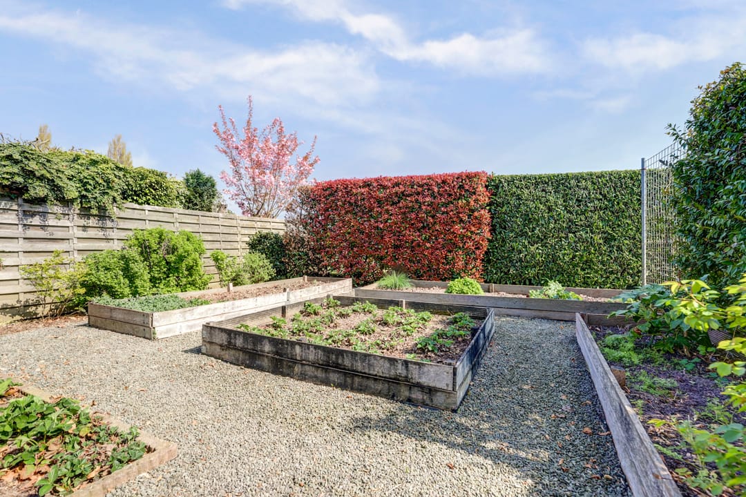 Foto 38 van Angerensestraat 6