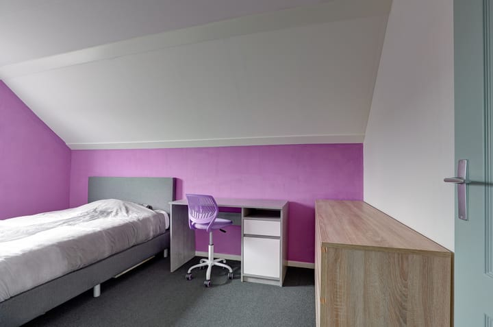 Foto 30 van Van Voortstraat 12