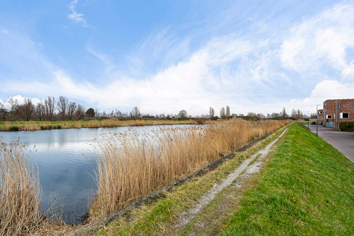 Foto 46 van Corbuloschans 5