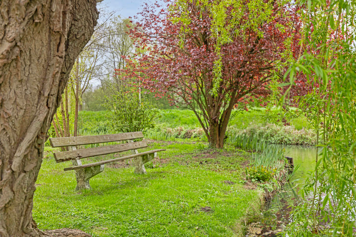 Foto 23 van Kloosplantsoen 281