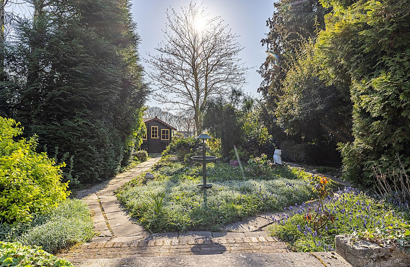 Foto 20 van Richterstraat 1