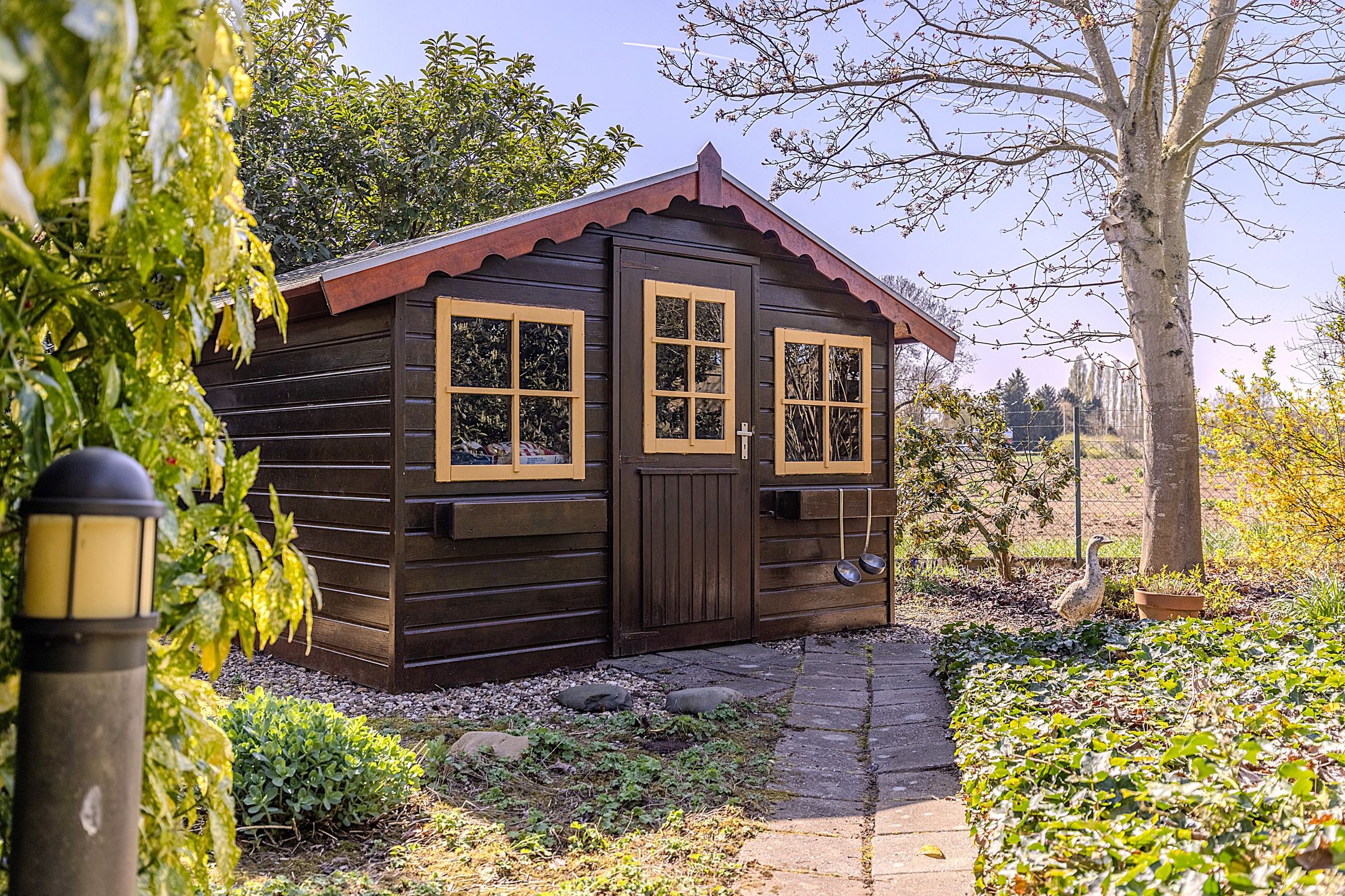 Foto 21 van Richterstraat 1