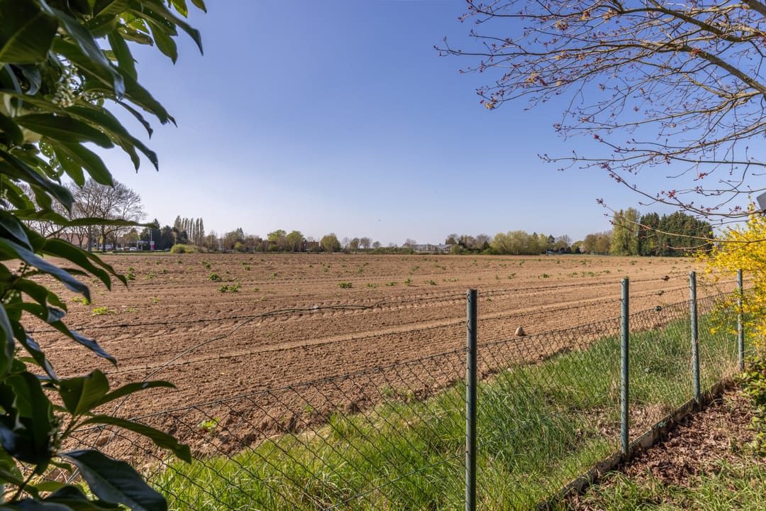 Foto 37 van Richterstraat 1