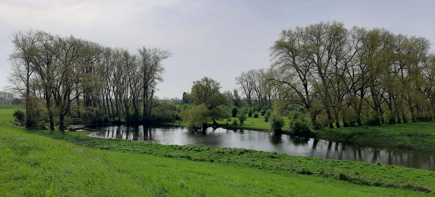 Foto 40 van Richterstraat 1