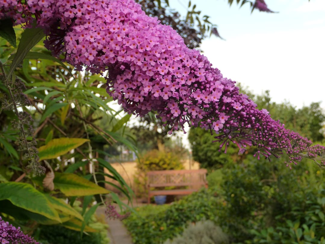 Foto 41 van Richterstraat 1