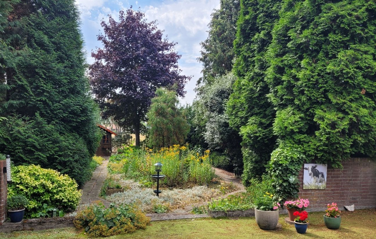 Foto 42 van Richterstraat 1