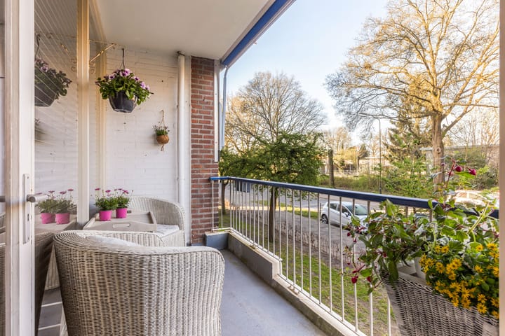 Foto 9 van Henri Dunantlaan 255