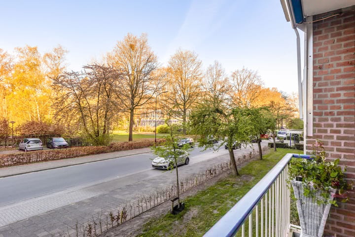 Foto 10 van Henri Dunantlaan 255