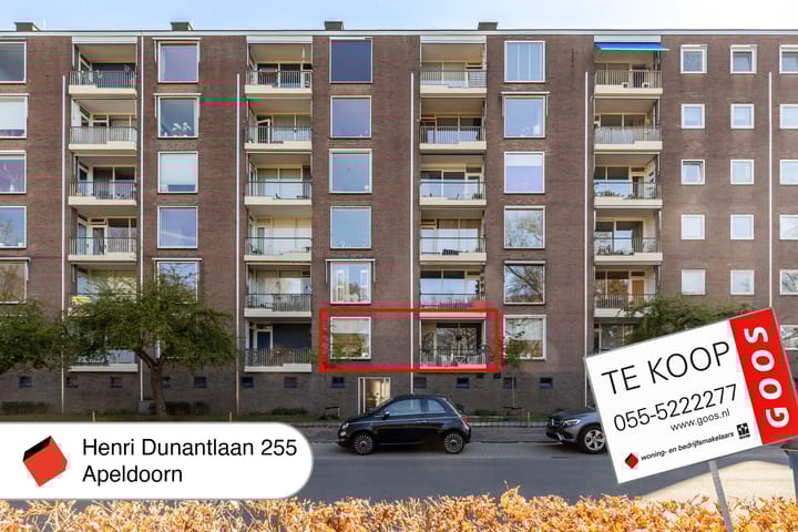 Foto 43 van Henri Dunantlaan 255