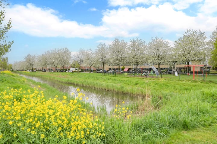 Foto 43 van Mandenmaker 6