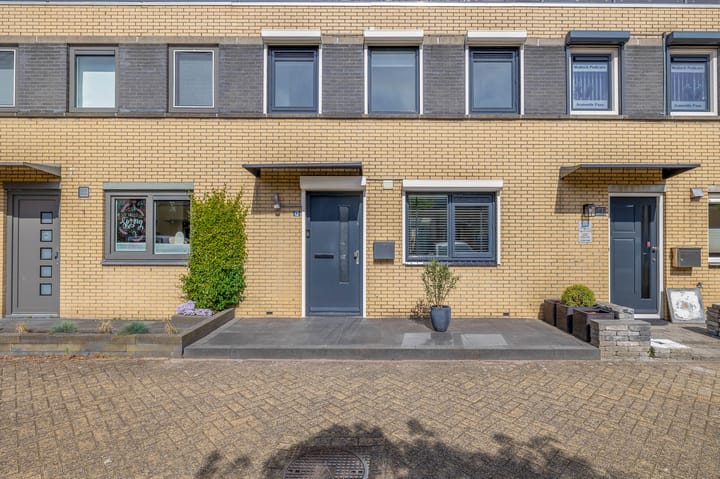 Foto 6 van Pruisisch blauw 12