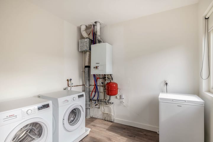 Foto 32 van Pruisisch blauw 12