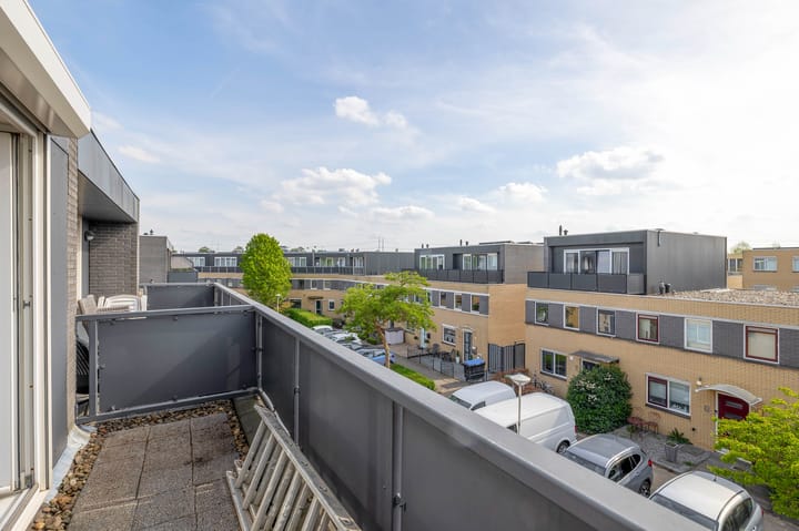 Foto 40 van Pruisisch blauw 12