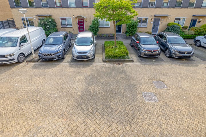 Foto 43 van Pruisisch blauw 12