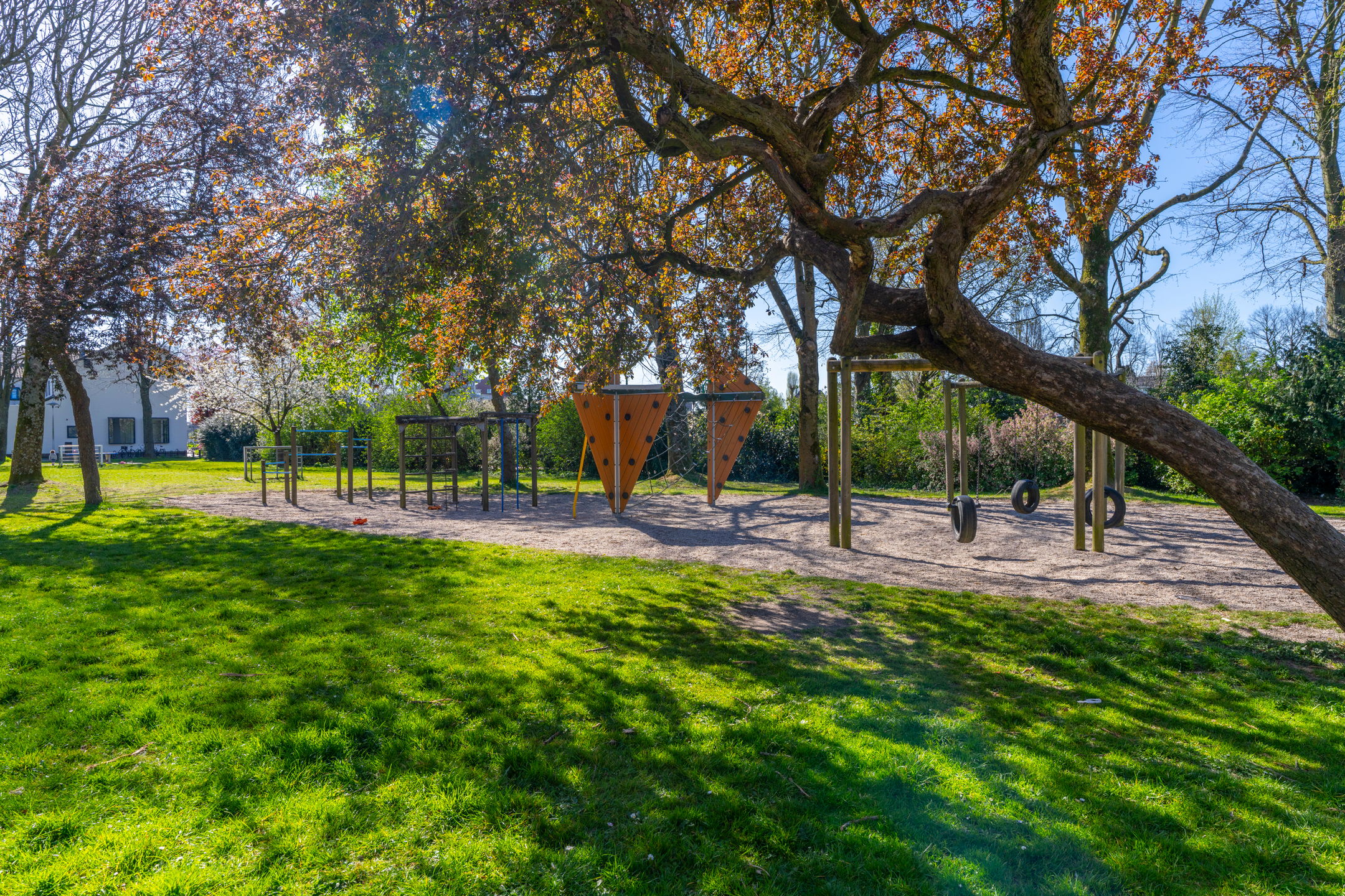 Foto 42 van Laan van Nieuw-Guinea 97-BS