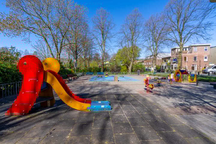 Foto 43 van Laan van Nieuw-Guinea 97-BS