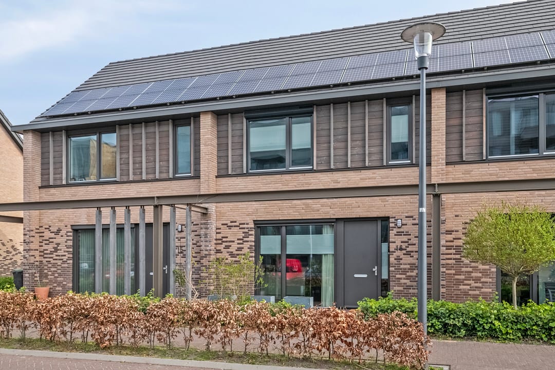 Foto 7 van Grenenhout 16