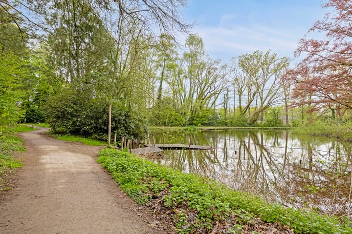 Foto 42 van Bernhardstraat 39