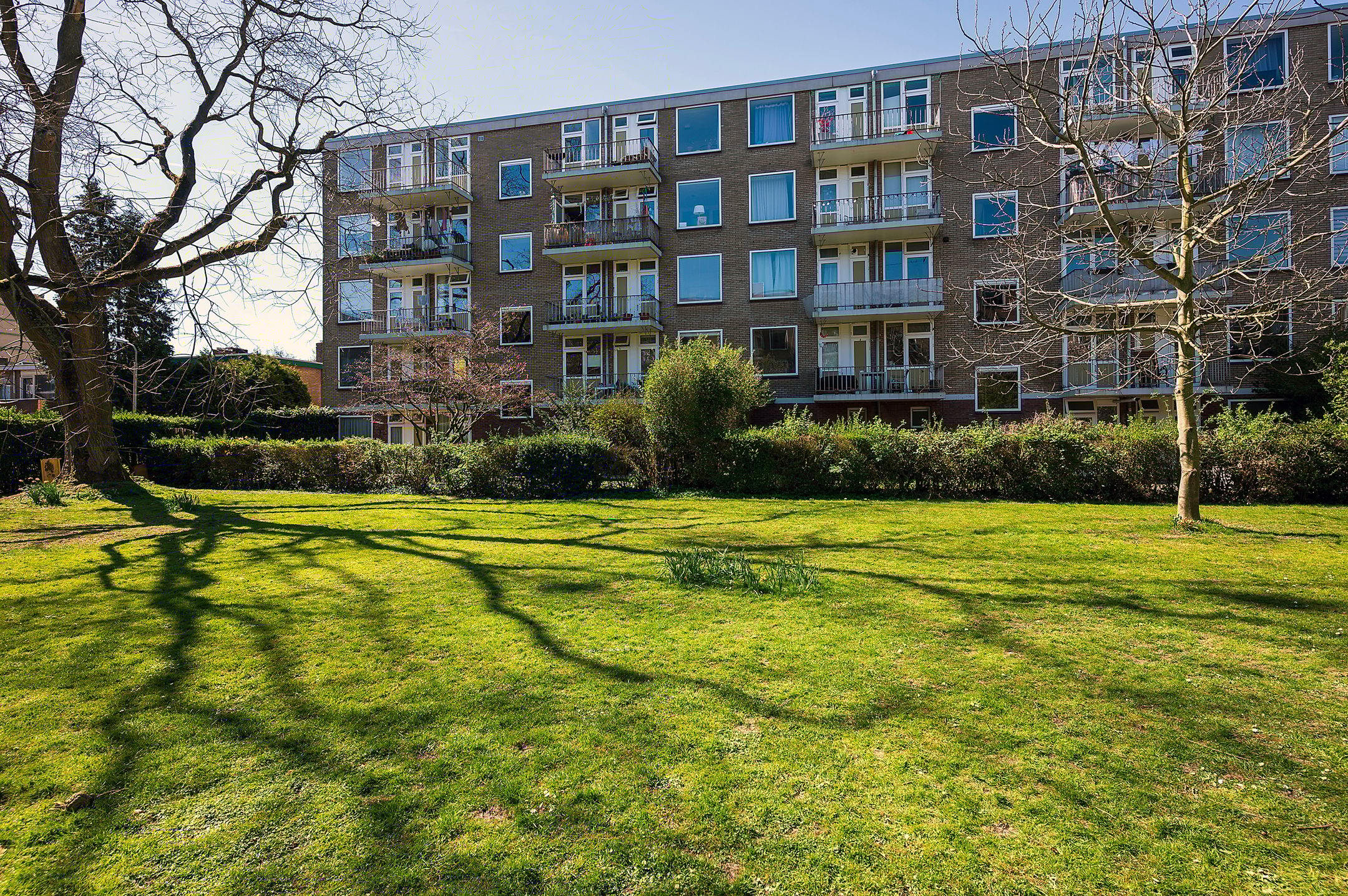 Foto 36 van Van Vollenhovenlaan 120