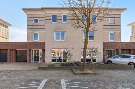 undefined main image