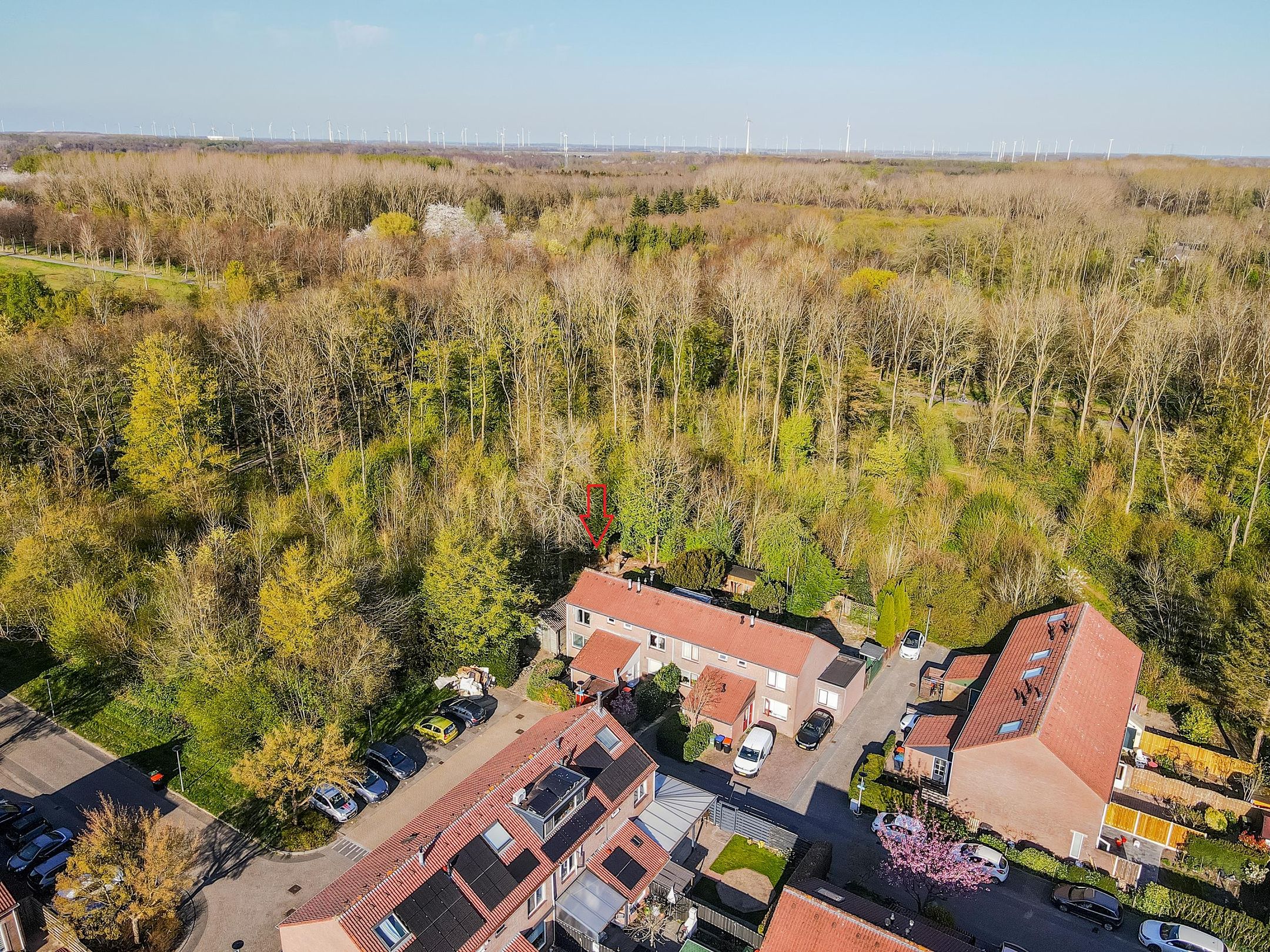 Foto 3 van Horst 11 54