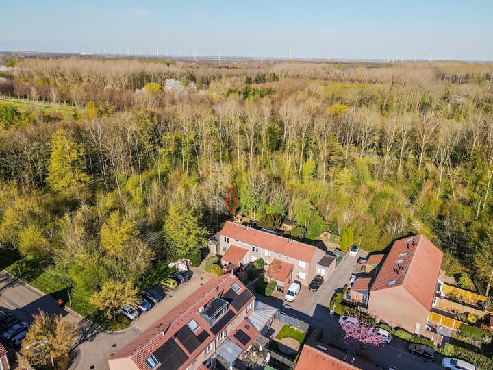 Foto 3 van Horst 11 54