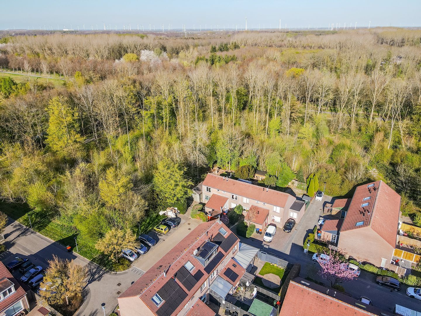 Foto 34 van Horst 11 54