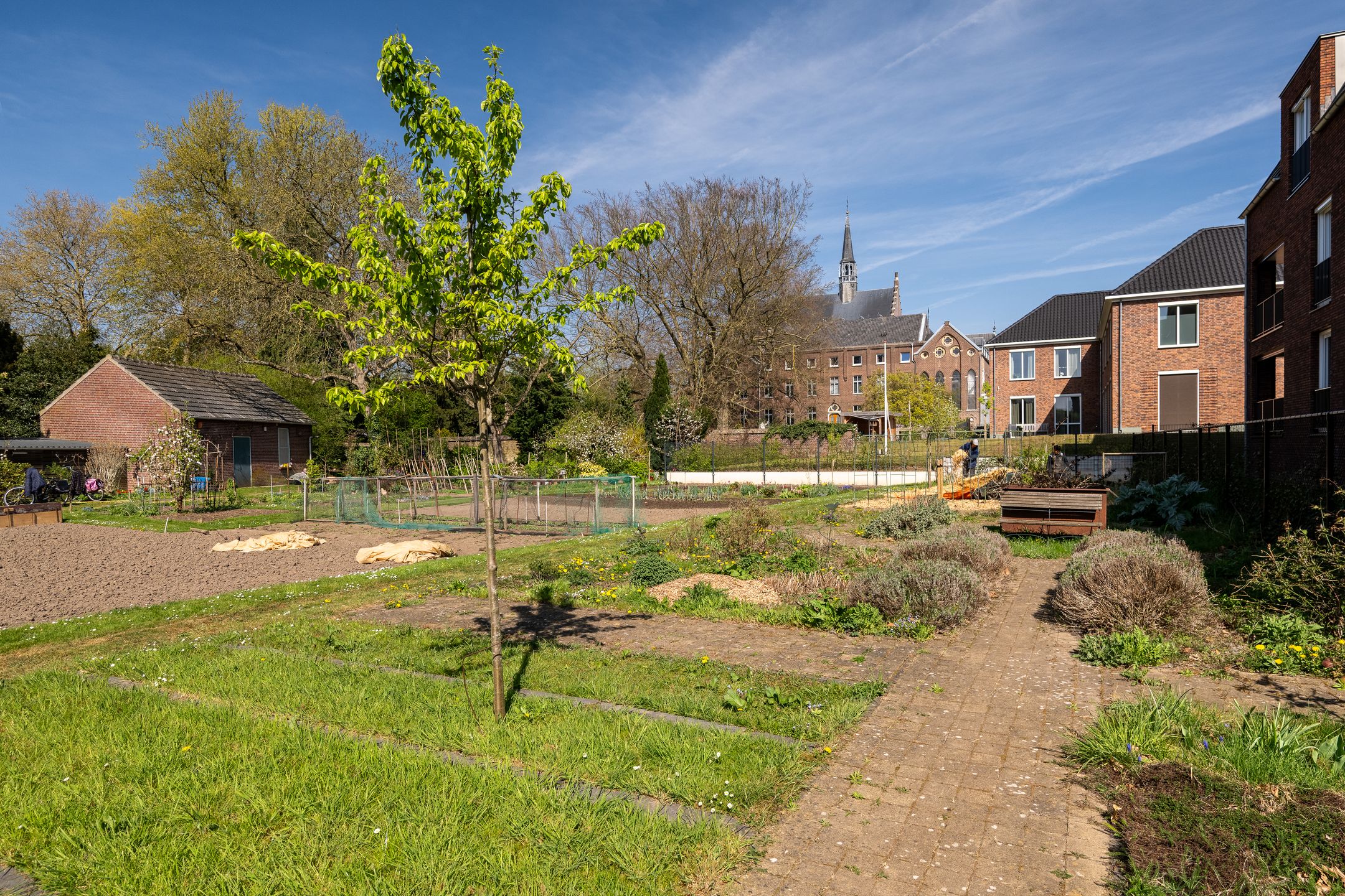 Foto 24 van Heinsbergerweg 12-B02