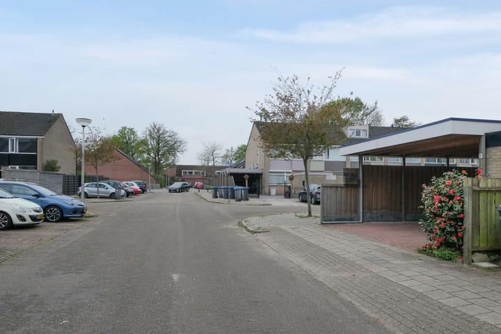 Foto 5 van Singraven 91