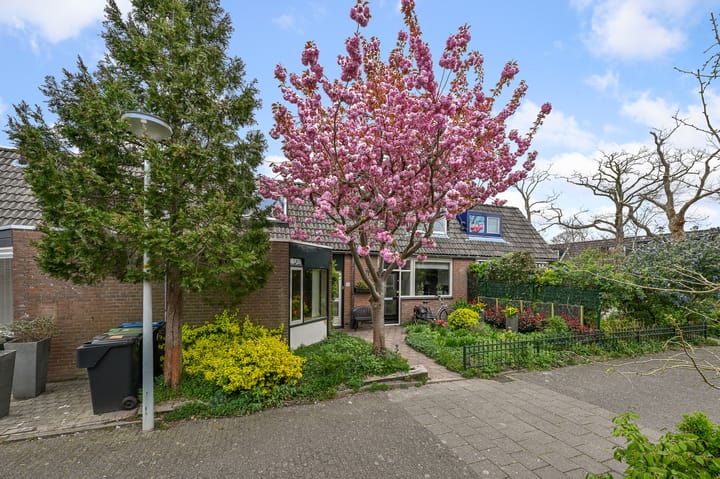 Foto 22 van Schokkerhof 15