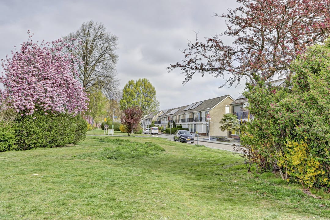 Foto 7 van Grimbergen 23