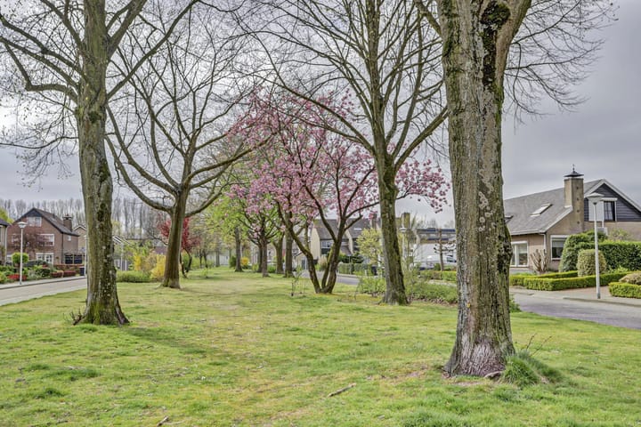 Foto 6 van Grimbergen 23