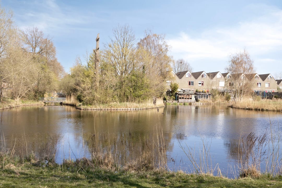 Photo 28 of Vijfde Haren 49