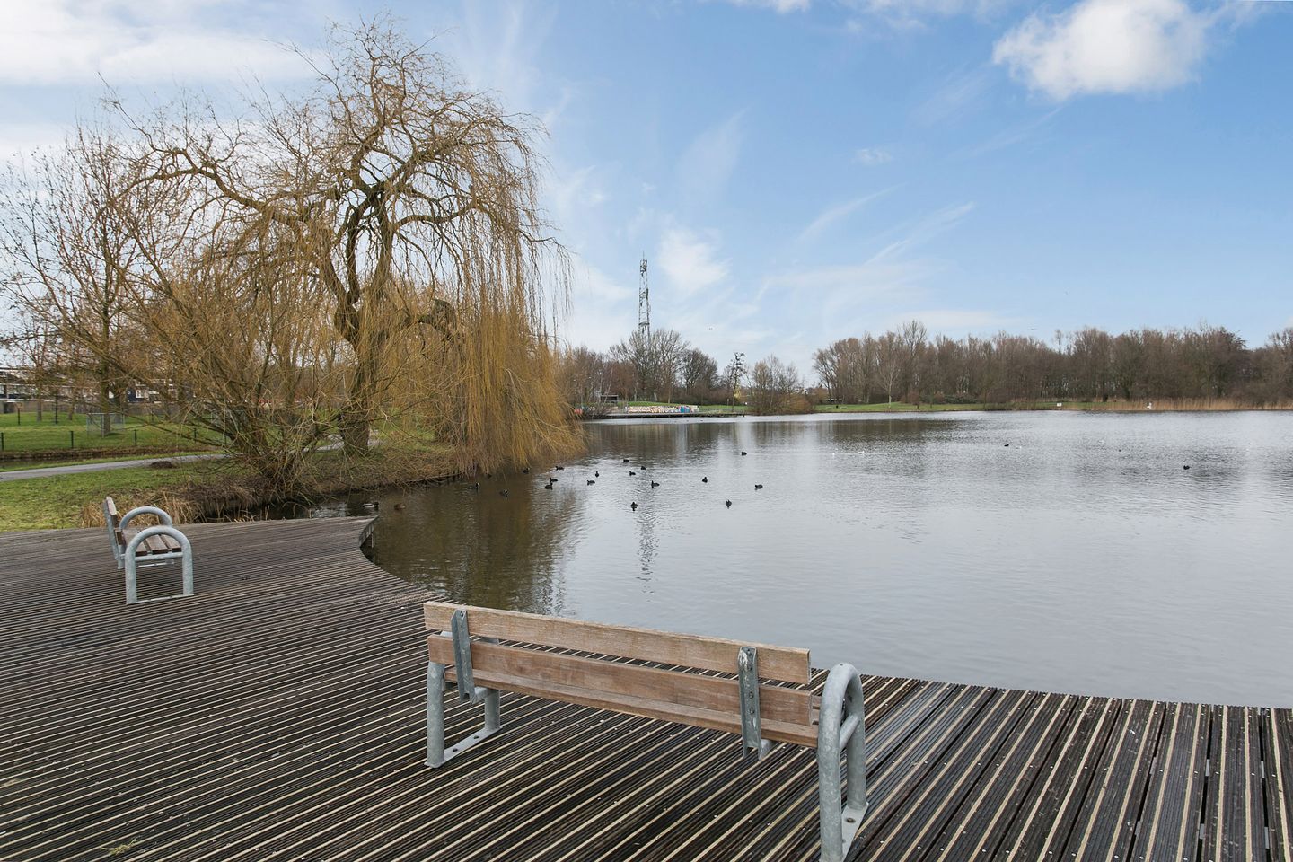 Photo 29 of Vijfde Haren 49