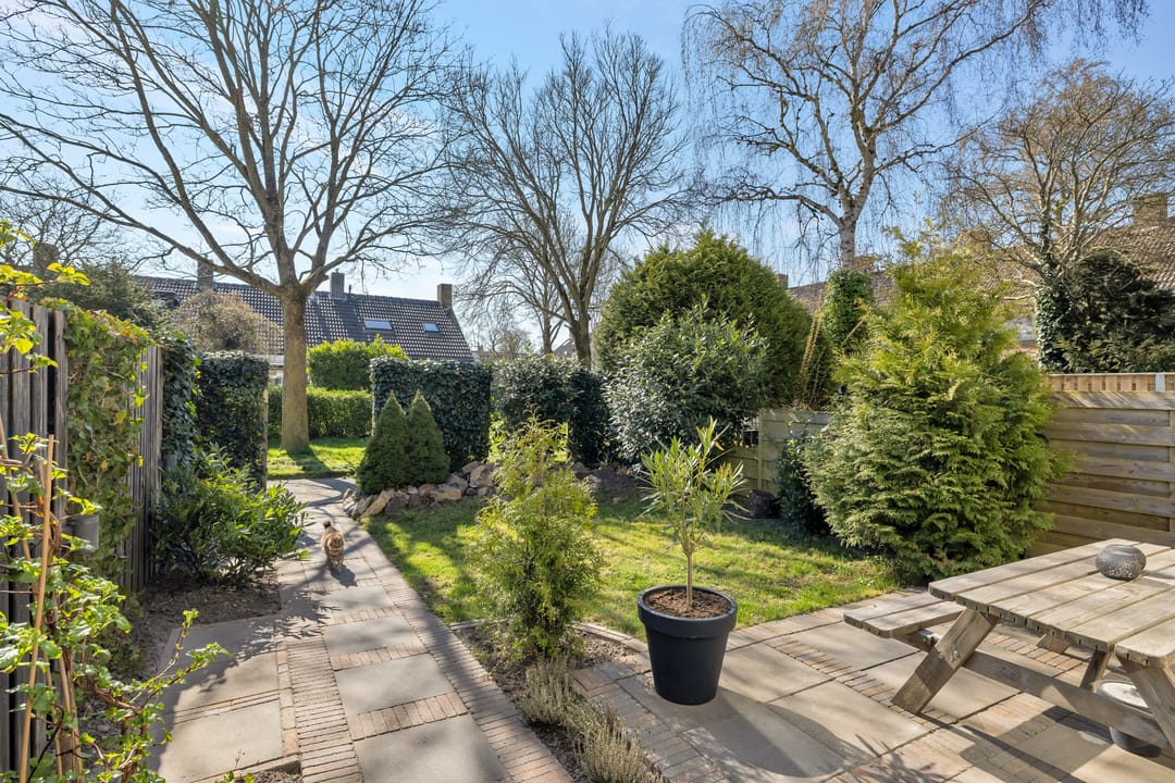 Foto 7 van Iepenlaan 19