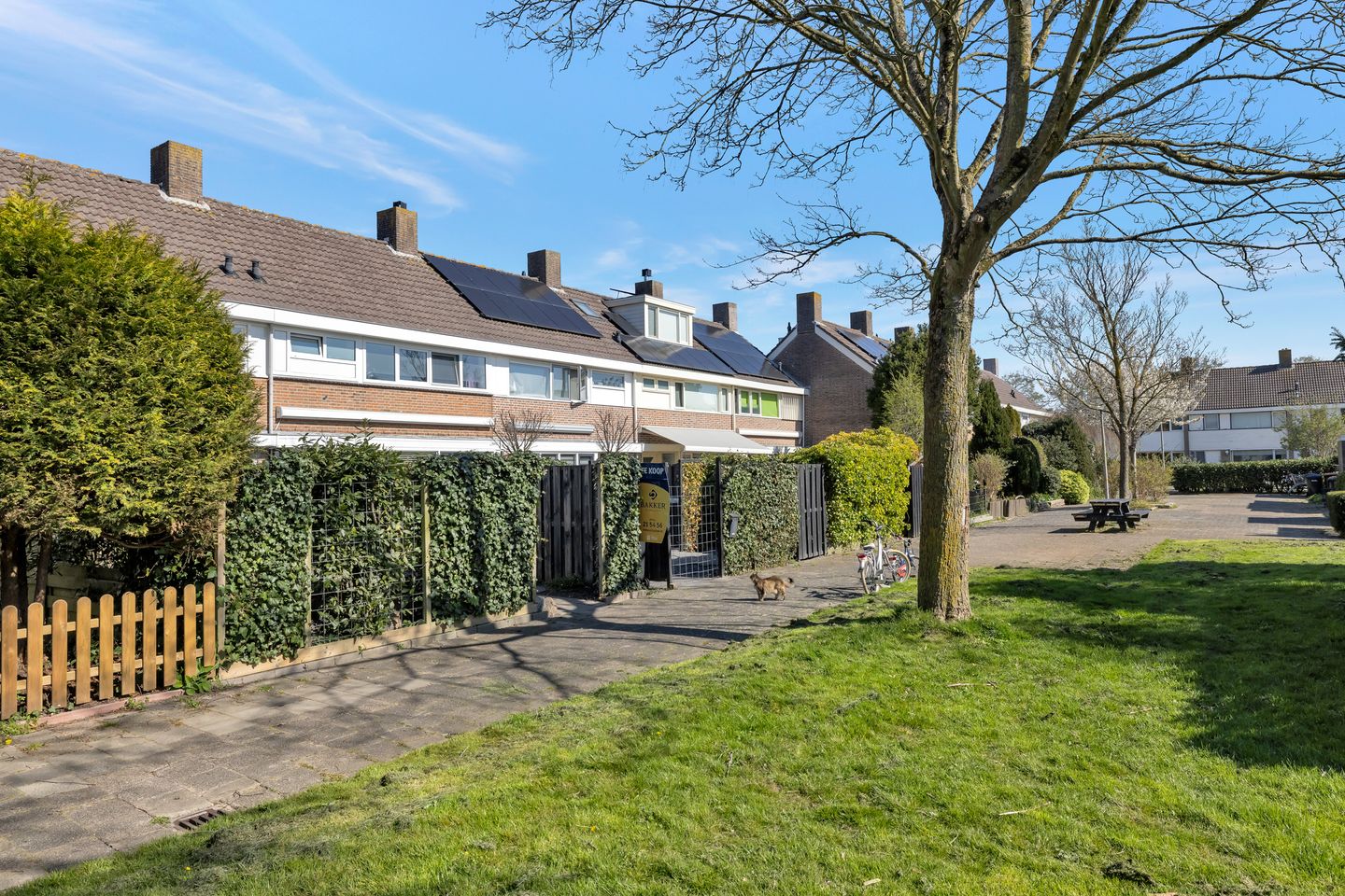 Foto 35 van Iepenlaan 19