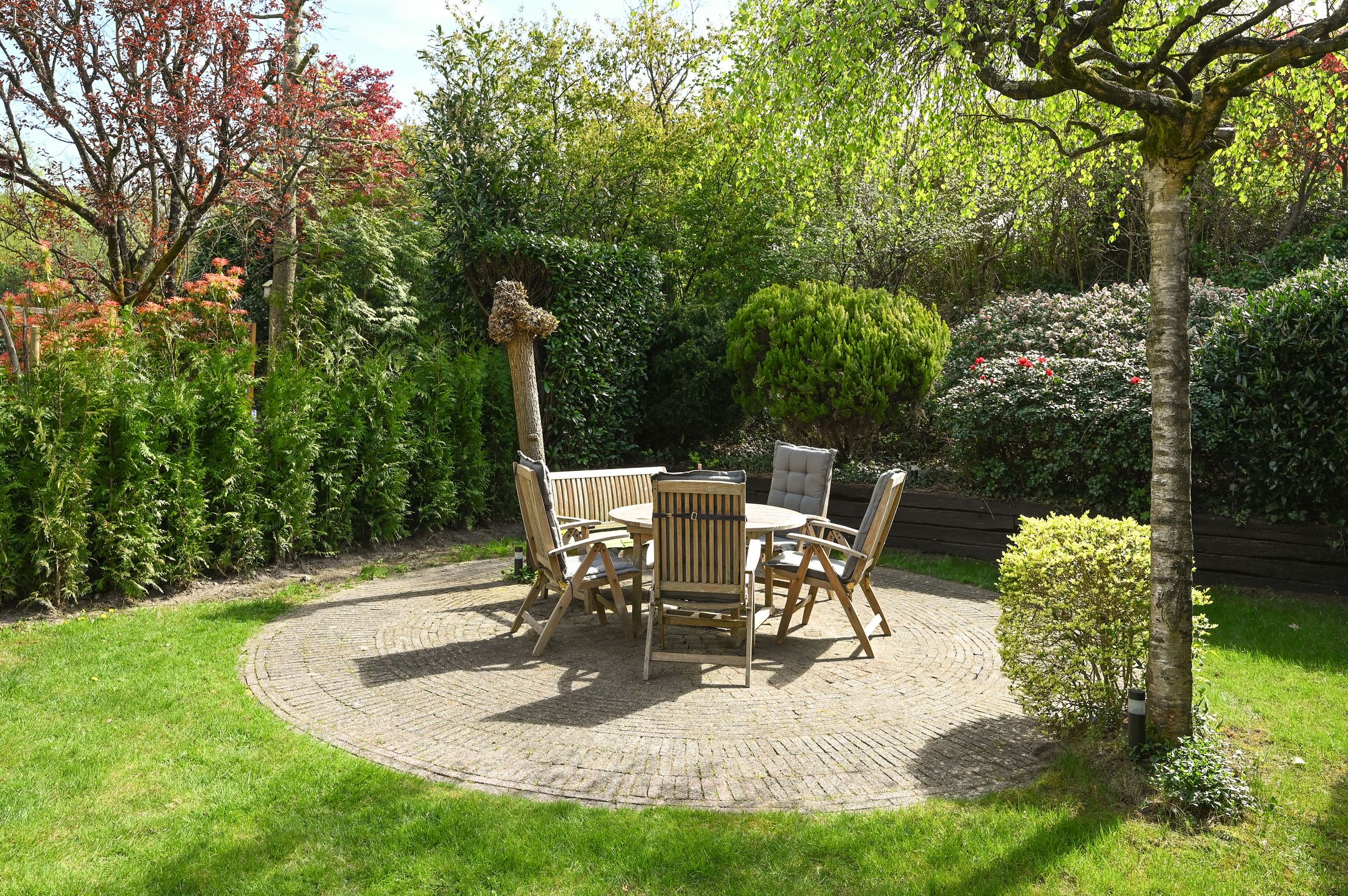 Foto 3 van Specht 11