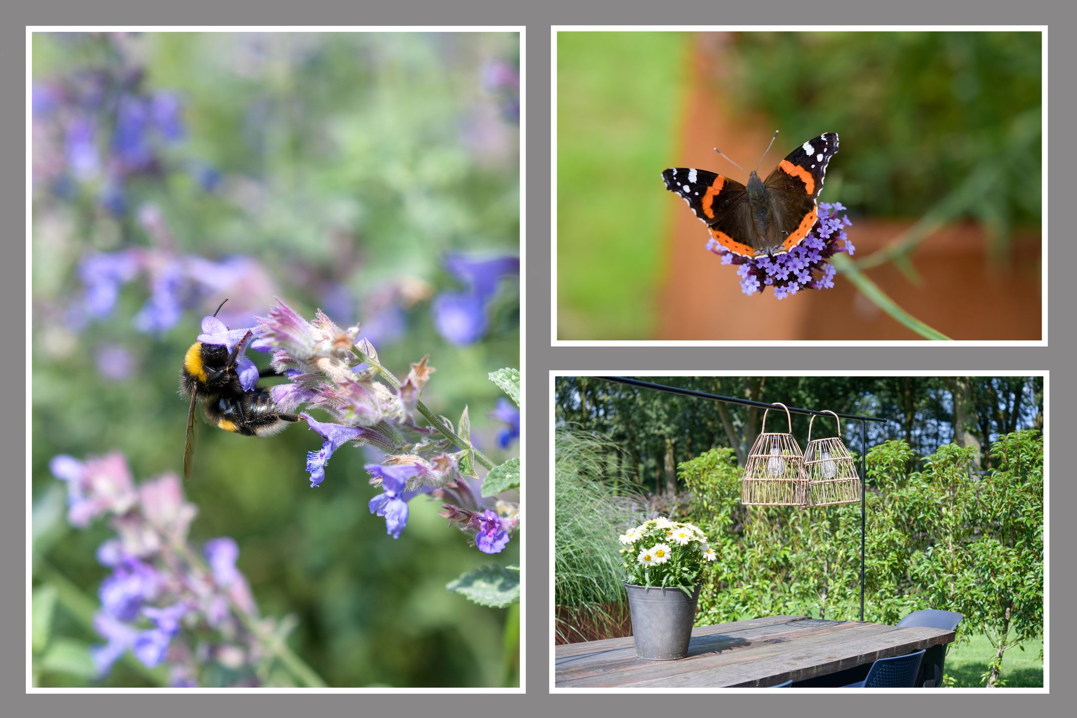 Foto 30 van Dronkelaarseweg 31