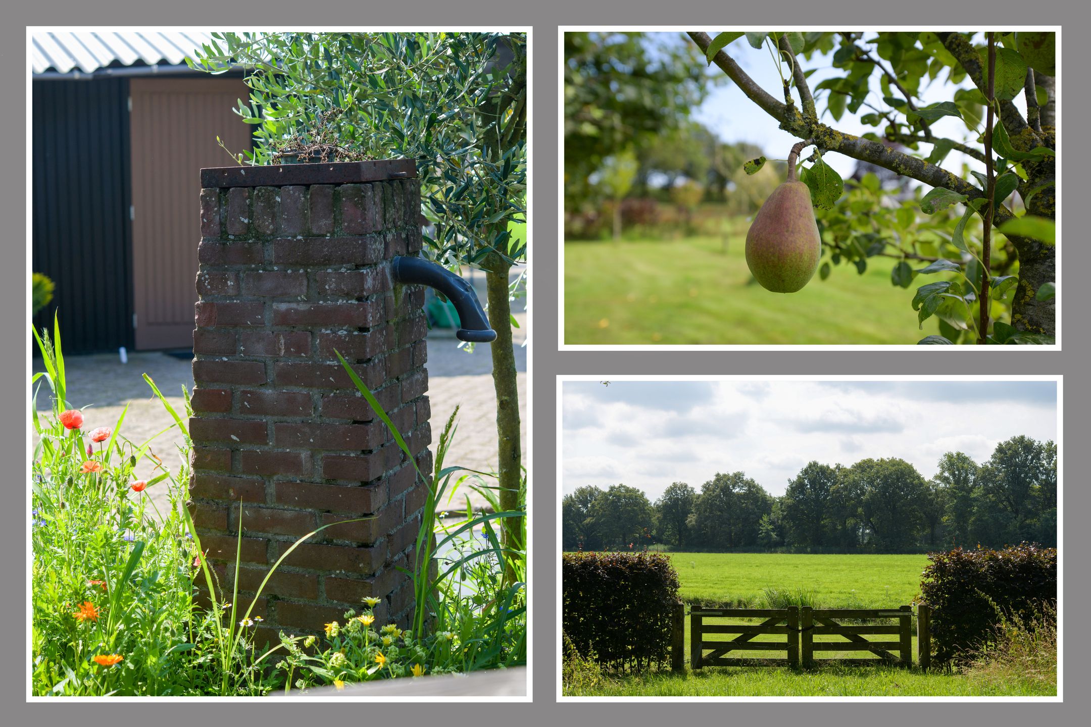 Foto 60 van Dronkelaarseweg 31